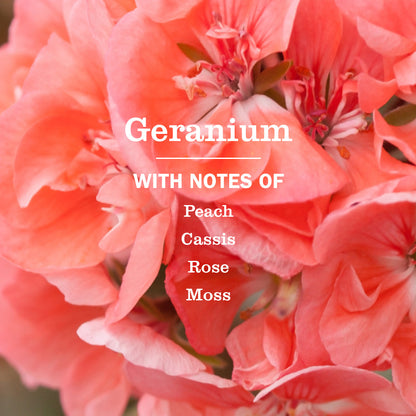 Geranium Multi-Surface Concentrate