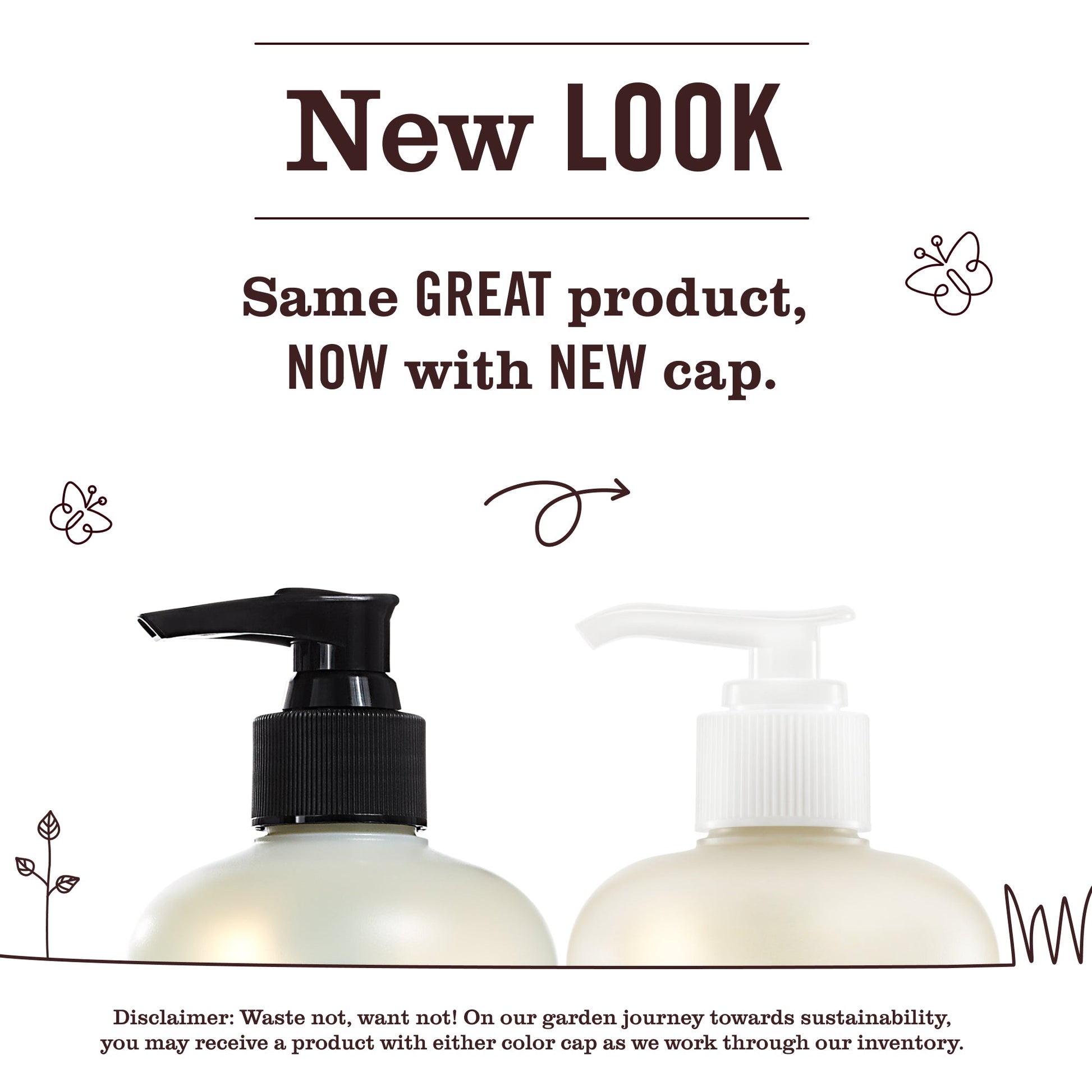 Acorn Spice Liquid Hand Soap