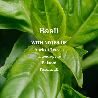 Basil Dish Soap Refill